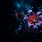 blog_skin_zinest_01-1200x800 blog_skin_zinest_01-1200x800