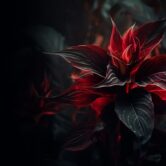 blog_skin_zinest_02-1200x800 blog_skin_zinest_02-1200x800